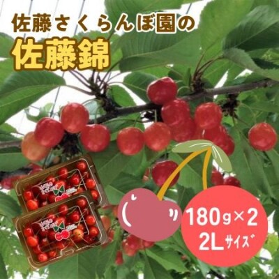 さくらんぼ(佐藤錦)360g(180g×2パック)2Lサイズ　0069-2602