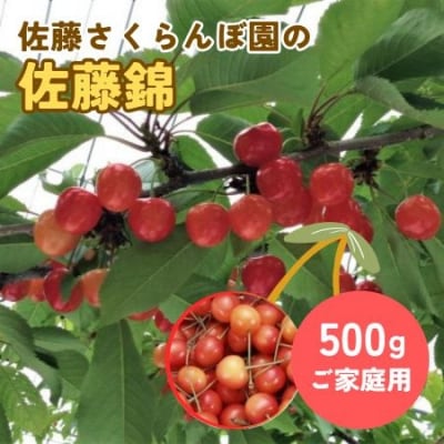 さくらんぼ(佐藤錦)500g　ご家庭用　0069-2603