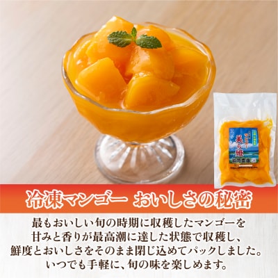 冷凍美ら姫マンゴー 1kg(500g×2袋)