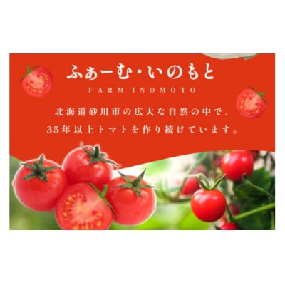 【先行予約】 無塩 トマトジュース 国産 100% 180ml×6本 セット [12260392]