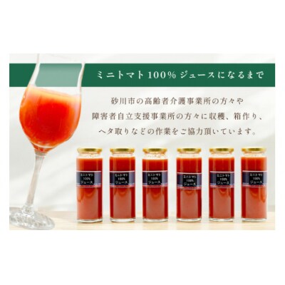 【先行予約】 無塩 トマトジュース 国産 100% 180ml×6本 セット [12260392]
