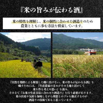 自然淘汰 natural selection DNA Aging "変化”