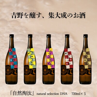自然淘汰 natural selection DNA 5種セット