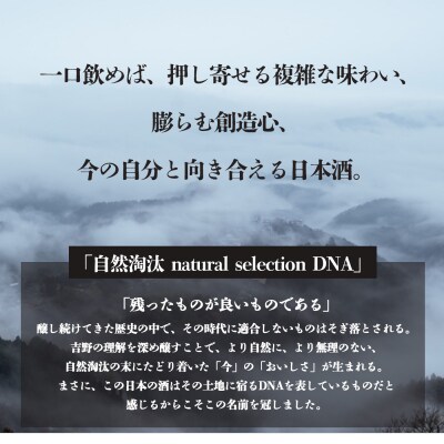 自然淘汰 natural selection DNA 5種セット