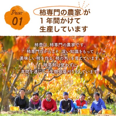 【柿専業の農家が作る】出雲産西条柿の干し柿【1_2-059】