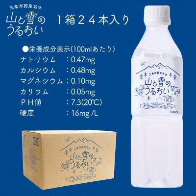 [定期便500ml×24本×3か月]ナチュラルミネラルウォーター 山と雪のうるおい【020S039】