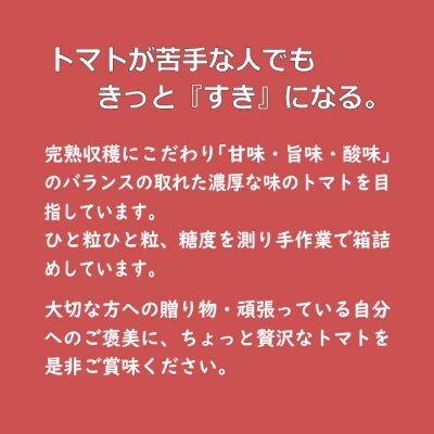 フルーツトマト【出雲の加田屋】　加田屋トマト糖度7以上8未満【1_4-015】