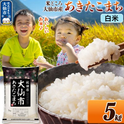 米 あきたこまち【白米】 令和7年産 5kg|22_ssn-010501_sf