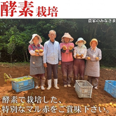 【予約商品】安芸津のじゃがいも　5kg【配送時期:7月上旬～下旬    】