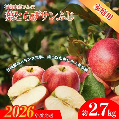 ふくしまのりんご 葉取らずサンふじ ご家庭用　約2.7kg【2026年度発送】No.1926