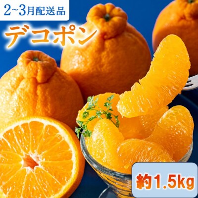 【昨年も大人気】デコポン(1.5kg程度)/2027年2月～3月配送.ZH253