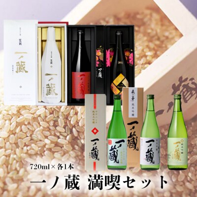 一ノ蔵 日本酒 6本満喫セット 各720ml×1本 純米大吟醸 純米吟醸 お酒 地酒
