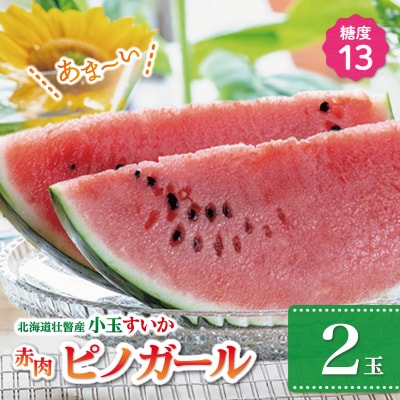 <2026年8月上旬より順次お届け>小玉すいか(赤肉・ピノガール)2玉約3kg SBTN004
