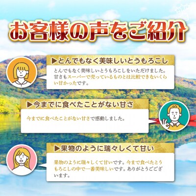 <2026年8月上旬よりお届け>とうもろこし(スイートコーン)13本 約5kg SBTN001