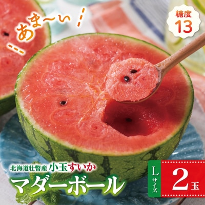 <2026年8月上旬よりお届け>新山すいか (マダーボール)Lサイズ2玉 SBTN002