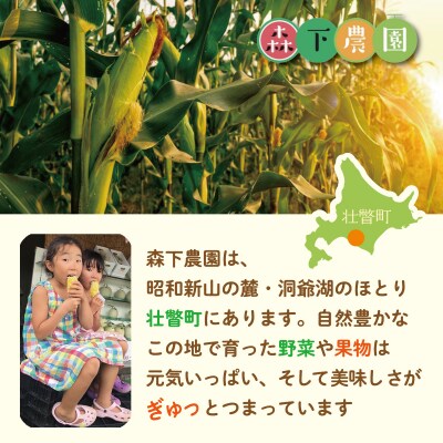 【2回定期便】旬の野菜定期便<8月上旬・9月下旬お届け>SBTN013