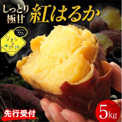 【12月以降発送】北海道十勝芽室町 なまら十勝野 芽室町産さつまいも【紅はるか】5kg