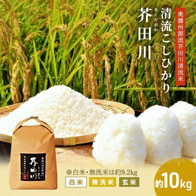 無洗米【令和8年産 事前受付】コシヒカリ 約9kg [無洗米] 精米にて [No5698-7832]