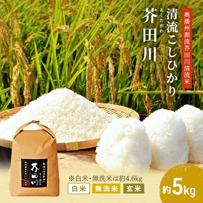 無洗米【令和8年産 事前受付】コシヒカリ 約4.6kg [無洗米] 精米 [No5698-7835]
