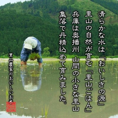 無洗米【令和8年産 事前受付】ヒノヒカリ 約4.6kg [無洗米] 精米 [No5698-7841]