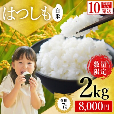 【岐阜県代表品種】令和7年産 ハツシモ【白米】2kg (1kg×2袋) S19