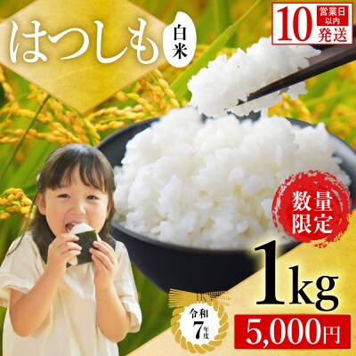 【岐阜県代表品種】令和7年産ハツシモ 【白米】1kg S20