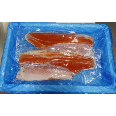 生食可 サーモン 半身×2枚 鮭 岩姫サーモン 切身 冷凍 刺身 海鮮丼 魚 無塩 養殖 大容量