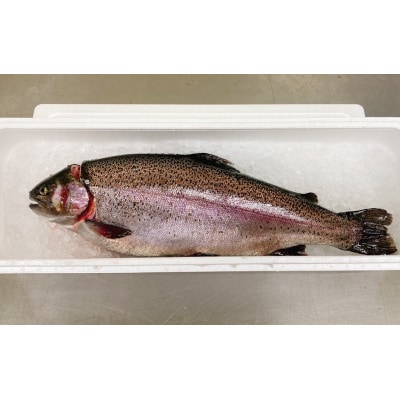 生食可 サーモン まるごと1本 ブランド 鮭 岩姫サーモン 切身 冷蔵 刺身 海鮮丼 魚 無塩 養殖