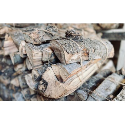 【5回定期便】 乾燥薪 りんごの木 約10kg×5回お届け 薪 キャンプ 焚き火 薪ストーブ 大容量