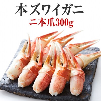 本ズワイガニ 二本爪 300g×1パック かに カニ 蟹 爪肉 冷凍 料理 寿司 海鮮 特別 お試し