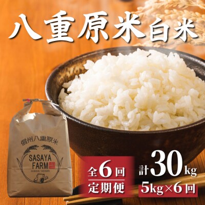 令和8年新米受付【6回定期便】八重原米5kg(5kg×1袋)白米※2026年10月以降発送|笹屋農園