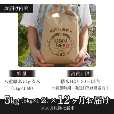 令和8年新米受付【12回定期便】八重原米5kg(1袋)玄米※2026年10月以降順次発送|笹屋農園