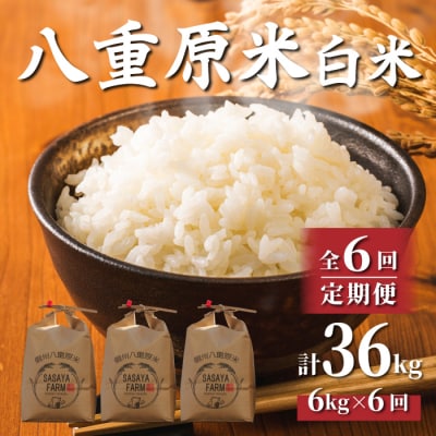 令和8年新米受付【6回定期便】八重原米6kg(2kg×3袋)白米※2026年10月以降発送|笹屋農園