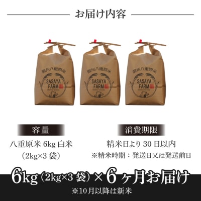 令和8年新米受付【6回定期便】八重原米6kg(2kg×3袋)白米※2026年10月以降発送|笹屋農園