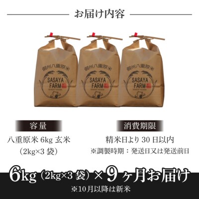 令和8年新米受付【9回定期便】八重原米6kg(2kg×3袋)玄米※2026年10月以降発送|笹屋農園