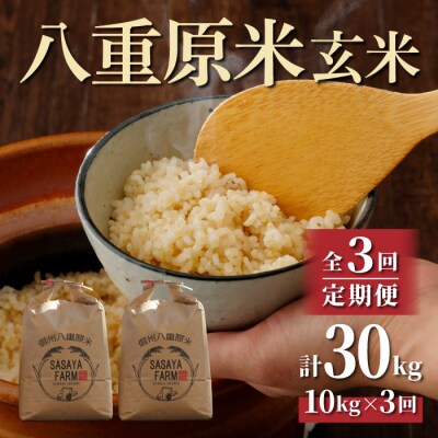 令和8年新米受付【3回定期便】八重原米10kg(5kg×2)玄米※2026年10月以降発送|笹屋農園