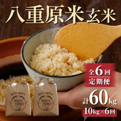 令和8年新米受付【6回定期便】八重原米10kg(5kg×2)玄米※2026年10月以降発送|笹屋農園
