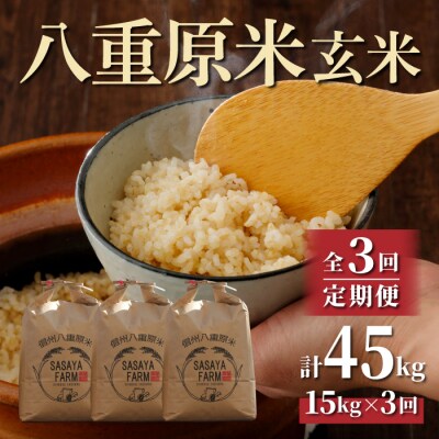 令和8年新米受付【3回定期便】八重原米15kg(5kg×3)玄米※2026年10月以降発送|笹屋農園