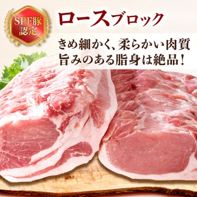 山形県庄内SPF豚 最上川ポーク ロースブロック 4kg(2kg×2)国産 豚肉 冷蔵便