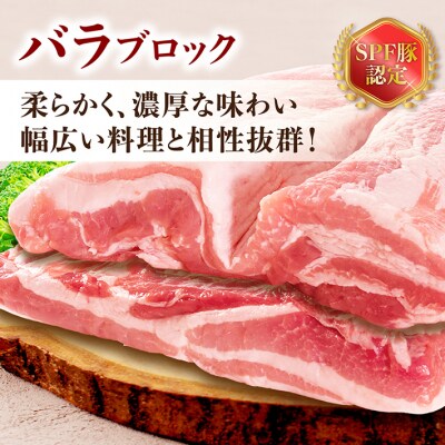 山形県庄内SPF豚 最上川ポーク バラブロック 4kg(2kg×2)国産  豚肉 冷蔵便
