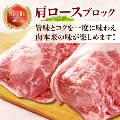 山形県庄内SPF豚 最上川ポーク 肩ロースブロック 4kg(2kg×2) 国産 豚肉 冷蔵便