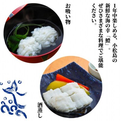 定期便 偶数月 3回 鱧 ハモ 切り身 計 3.6kg 1.2kg × 3ヵ月 冷凍 国産 魚介
