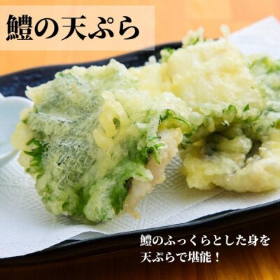 定期便 偶数月 3回 鱧 ハモ 切り身 計 3.6kg 1.2kg × 3ヵ月 冷凍 国産 魚介