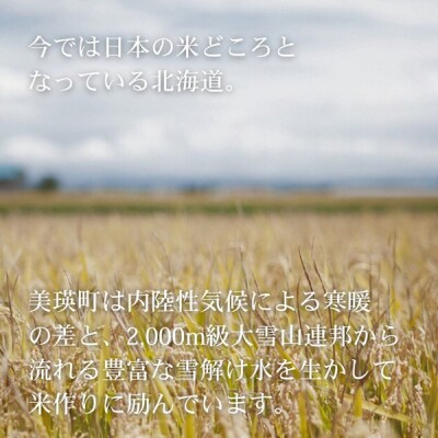 【先行予約】＜令和8年産＞美景農園 新米 ななつぼし10kg