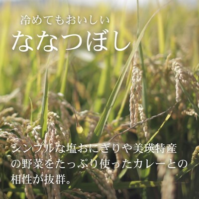 【先行予約】＜令和8年産＞美景農園 新米 ななつぼし10kg