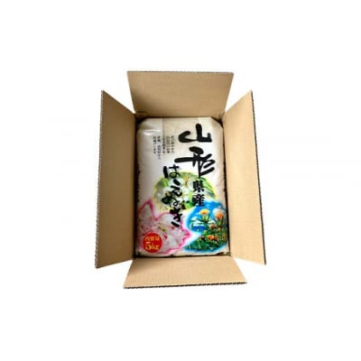 令和7年度 山形県産 はえぬき 5kg 精米  F7W-0282