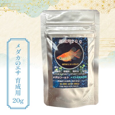 メダカ ミックス10匹セット