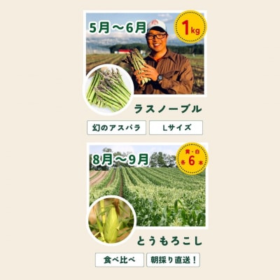 野菜 定期便 北海道【白樺】4回便 令和8年産 先行受付 美瑛の四季