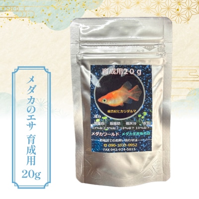 メダカ「エメキン」4匹セット