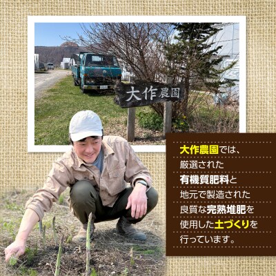 <2026年7月上旬よりお届け>大作農園『夏アスパラとカラフルミニトマト』約1kg SBTR004
